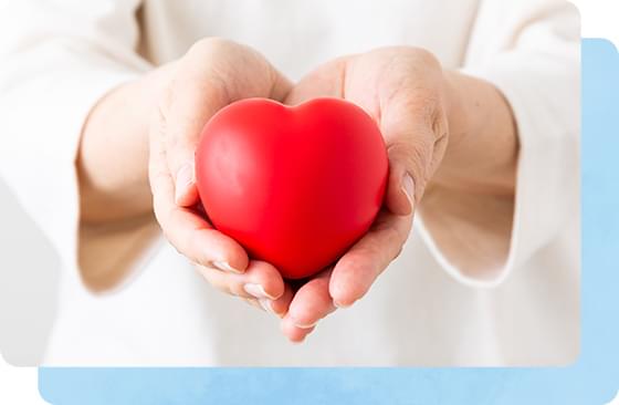 料金プランのご案内